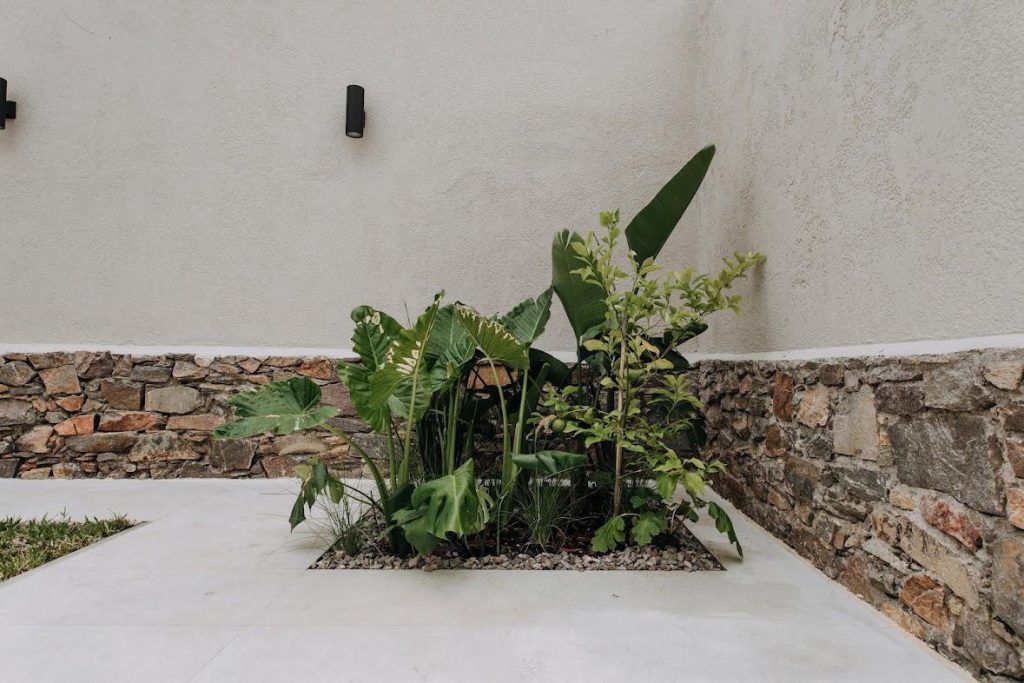 FARO Arquitectura 15 1024x683